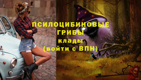 мдпв Баксан