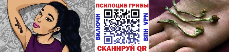 omg зеркало  Вязники  Галлюциногенные грибы мухоморы  купить  