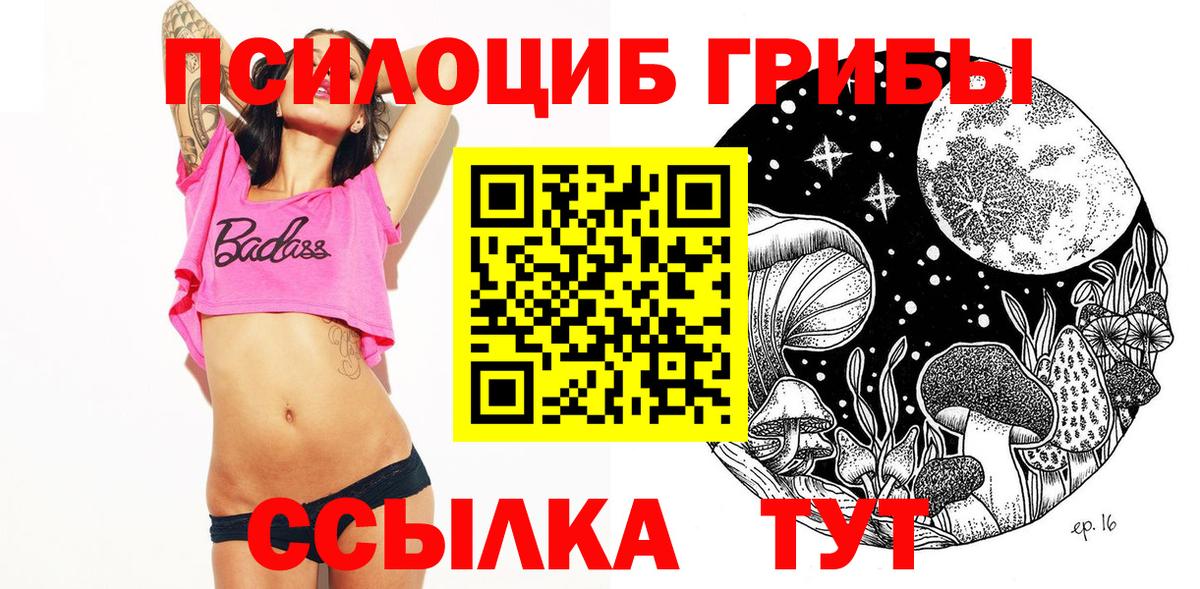 Вязники  Псилоцибиновые грибы Cubensis  Вход с VPN  Псилоцибиновые грибы прущие грибы 