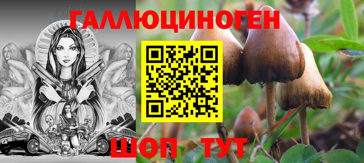Псилоцибиновые грибы ЛСД Вязники